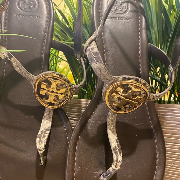 Tory Burch Dani Snakeskin T-strap Thongs Sandals - Picture 7 of 16